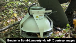 Observations from around the world show that, as temperatures have warmed, bacteria and fungi in soil are releasing more carbon into the atmosphere. (Benjamin Bond-Lamberty via AP)