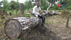 ជន​រងគ្រោះ​ទំនាស់​ដីធ្លី​បាត់បង់​ទាំងដី ​និង​ជើង​ដែល​រក្សា​បាន​ក្នុង​សង្គ្រាម