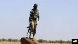 Wani sojan kasar jamahuriyar Nijer na gadi a dajin Arlit