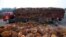 FILE - A worker unloads palm oil fruits from a truck inside a palm oil factory in Salak Tinggi, outside Kuala Lumpur, Malaysia, Aug. 4, 2014.