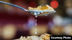 Researchers say that hearing the sounds made while eating may cause people to eat less.(BYU)