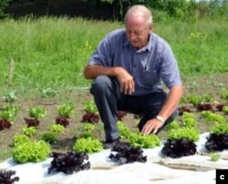 საქართველოს მთავრობას იმედი აქვს, რომ პიტ კემპს ბევრი ბური ფერმერი მიბაძავს