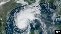 ህቦቡላዊ ማዕበል በርይል ኣብ ኣመሪካ 