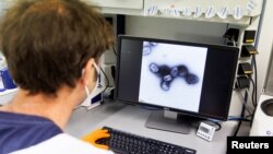 A laboratory of the vaccine company Bavarian Nordic, in Martinsried near Munich