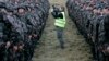 FILE - A cameraman films soldiers after a military exercise in Pocek, Slovenia.