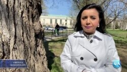 Amerika Manzaralari: Xitoy, ayollar, gilamlar