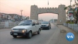 COVID-19 Doubters in Pakistan Embrace Unproven Remedies Like Garlic, Ginger and Saffron Tea 