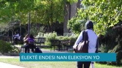 Elektè Endesi nan Eleksyon yo