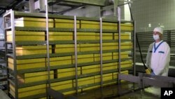 Фото: сироварня у Мені, Чернігівська область