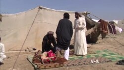 Pope Francis to Visit Holy Land