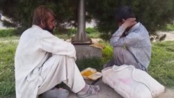 نوع خوراک معتادان در ولایت هرات