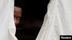 Asylum Seekers Flee US for Canada