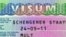 Avrupa Birliği, vize muafiyetinin kötüye kullanılmaması için bir mekanizmayı 2013'te devreye sokmuştu. Yeni düzenlene daha sıkı kurallar içeriyor.