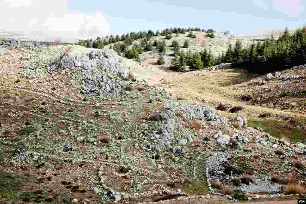 The high altitude landscapes of the Shouf Cedar Nature Reserve provide the southernmost extension of growing areas for the Cedars of Lebanon. (V. Undritz for VOA)