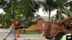 Seorang pekerja sedang memangkas pohon menggunakan peralatan Asplundh di Boca Raton. (Foto: Dok)