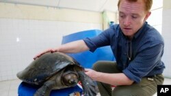 គ្រូពេទ្យ​សត្វ​ប្រចាំ​អង្គការ​ Wildlife Conversation Society លោក Martin Gilbert មក​ពី​ប្រទេស​អង់គ្លេស​ បង្ហាញ​អណ្តើក​ហ្លូង​ ដែល​ជា​ប្រភេទ​សត្វ​អណ្តើក​ដ៏​កម្រ​មួយ និង​រង​ការ​ជិតោផុត​ពួូជ​មួយ​។