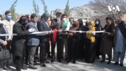 نهال شانی در شهر کابل