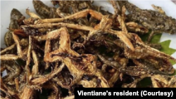 ຈືນຂຽດຢ້າງແຫ້ງ.