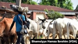 Fulani Herders