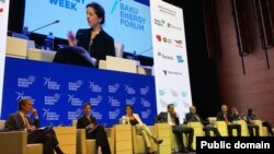 Dövlət Katibinin Enerji Resursları üzrə köməkçisinin müavini Laura Lokman 