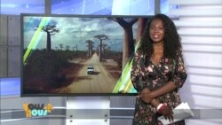 Vous + Nous : la restitution des objets d'art africains