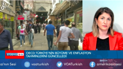 OECD Türkiye'nin Büyüme ve Enflasyon Tahminlerini Güncelledi