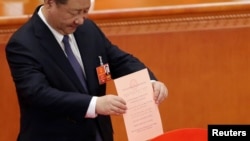 Presiden Xi Jinping memasukkan suaranya dalam pemungutan suara mengenai amandemen konstitusi pada Kongres Rakyat China untuk menghapuskan masa jabatan presiden (11/3). 