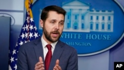 美国国家经济委员会主任布莱恩·迪塞。