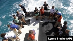 A group of University of Miami students and first generation college-bound students in the Upward Bound program joined researchers in a shark tagging mission in the Florida Keys.