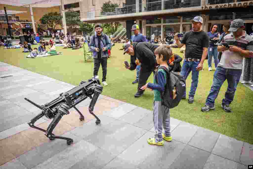 در انتظار خورشیدگرفتگی - دالاس تگزاس، آمریکا