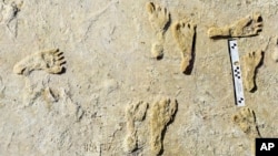 This undated photo made available by the National Park Service in September 2021 shows fossilized human fossilized footprints at the White Sands National Park in New Mexico. According to a report published in the journal Science on Sept. 23, 2021. (NPS via AP)