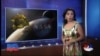 NASA apparati Pluton suratlarini Yerga uzatdi