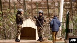 Les Forces auxiliaires marocaines montent la garde près de la barrière frontalière séparant le Maroc de l'enclave nord-africaine de Melilla.
