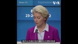 冯德莱恩：欧盟不会重返化石燃料时代