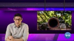 Belarus Ukrainadagi urushga qo’shiladimi?