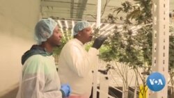 Nasha ekayotgan sobiq mahkumlar