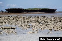 Damaged reef is visible off the island of Kisite Mpunguti, Kenya, Wednesday, June 15, 2022. (AP Photo/Brian Inganga)