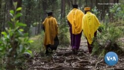 "የመጨረሻዎቹ የብዝኀ ሕይወት ማበልጸጊያዎች" የፎቶ ዐውደ ርእይ