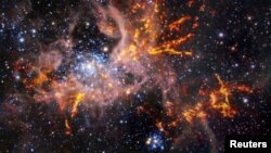 A composite image shows the star-forming region called 30 Doradus, also known as the Tarantula Nebula in this undated handout picture. (ESO, ALMA (ESO/NAOJ/NRAO)/Wong et al., ESO/M.-R. Cioni/VISTA Magellanic Cloud survey, Cambridge Astronomical Survey Unit/Handout via REUTERS)