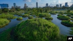 This photo shows a wetland part at Benjakitti Park in Bangkok, Thailand, Friday, April 1, 2022. (AP Photo/Sakchai Lalit)