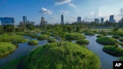 Thailand Urban Oasis
