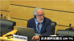 联合国人权事务委员会委员卡洛斯·戈麦斯·马丁内斯 （Carlos Gomez Martinez）向香港特区政府代表团提问，2022年7月6日。（联合国网站截图）