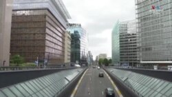 Ուկրաինան եվրոպական ընտանիքի մի մաս է. Գերմանիայի կանցլեր