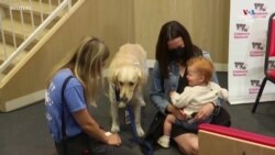 Վեց ամսականից մինչև հինգ տարեկան երեխաները պատվաստվում են ՔՈՎԻԴ 19-ի դեմ.