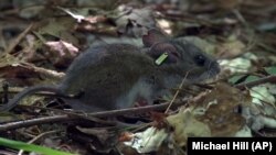 Science Says Tick Season