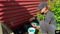Ava Dickman, a technician with AAA Exterminating Inc., refills rodenticide in a bait station to exterminate mice and rats outside a home in Indianapolis, Monday, May 16, 2022.