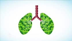 የመኖሪያ ቤት ውስጥ አየር መበከል ምንድነው? 