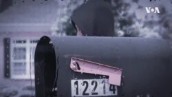 【美国学徒】美国古董店寻宝（上）