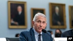 ARSIP - Dr. Anthony Fauci, Direktur Institut Nasional Alergi dan Penyakit Menular AS, di Gedung Capitol, Washington, 11 Mei 2022. (Foto AP/Jacquelyn Martin, File)