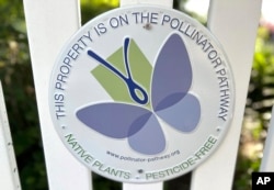 In this photo provided by Jessica Damiano, a yard sign says that the resident's garden is meant to attract pollinators.